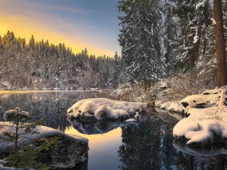 lake, winter, snow wallpaper