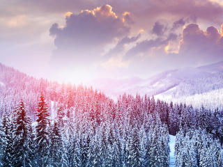 landscape, winter, snow wallpaper
