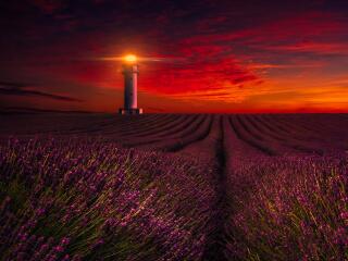 Lighthouse Lavender Night Photography wallpaper