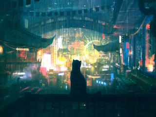 Lonely Cat in Rain 4K wallpaper