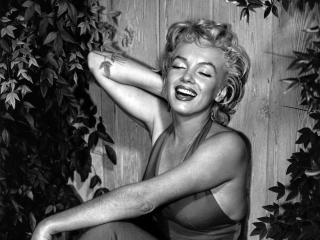 Marilyn Monroe Smile Pic wallpaper