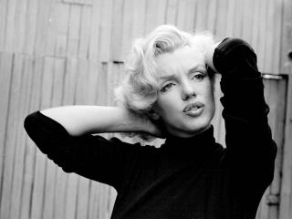 Marilyn Monroe T-Shirt Images wallpaper