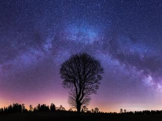Milky Way and Lonely Tree wallpaper