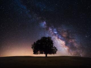 Milky Way Cool HD Lonely Tree wallpaper