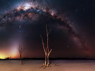 Milky Way Night and Bare Trees wallpaper