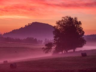 Misty Morning Sunrise 5K wallpaper
