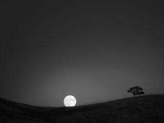 Moon Night HD Landscape wallpaper