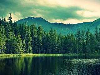 mountains, summer, lake wallpaper