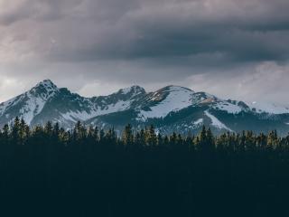mountains, trees, tops Wallpaper