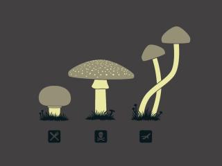 mushrooms, drawing, kind Wallpaper