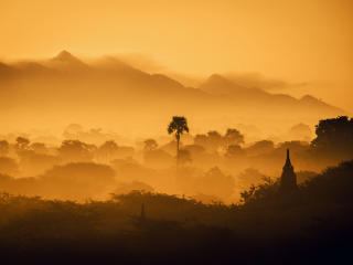 Myanmar Forest 4K Sunset wallpaper