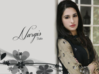 Nargis Fakhri gorgeous wallpaper wallpaper