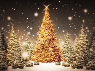 new year, christmas, trees wallpaper