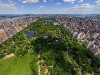 new york, central park, top view wallpaper