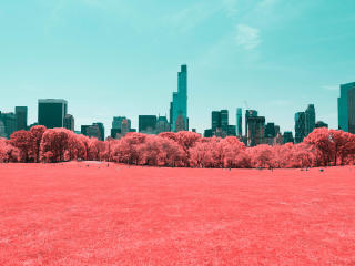 NYC Central Park Infrared Wallpaper