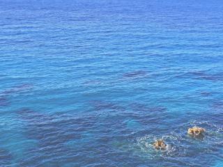 ocean, rocks, blue wallpaper