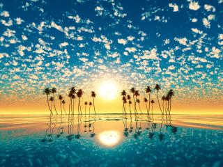 Palm Trees Reflection Sunset wallpaper