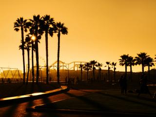 palm trees, sunset, people wallpaper