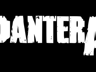 pantera, name, font Wallpaper