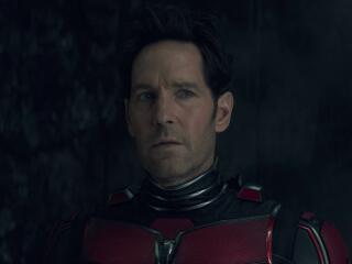 Paul Rudd in Ant-Man and the Wasp Quantumania wallpaper