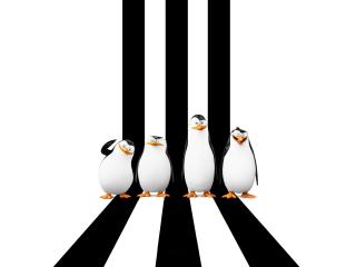 Penguins Of Madagascar 2014 Poster Wallpaper wallpaper
