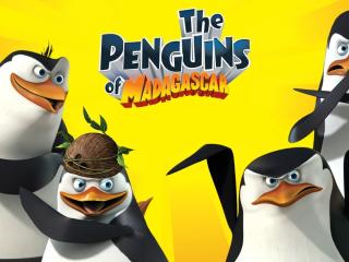 Penguins Of Madagascar HD Pics wallpaper