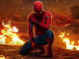 Peter Parker Spider-Man Homecoming wallpaper