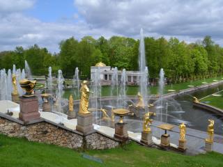 peterhof, fountains, park wallpaper