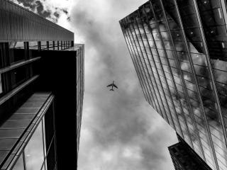 Plane Between Two Buildings Monochrome wallpaper