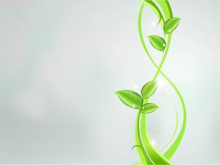 plants, green, abstract Wallpaper