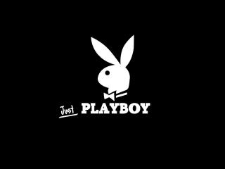 playboy, logo, bunny wallpaper