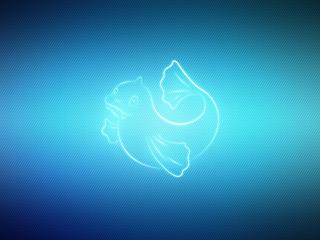 pokemon, swim, blue wallpaper