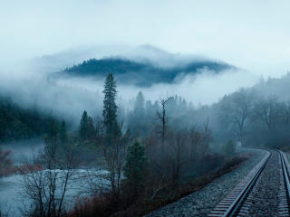 railroad, fog, trees wallpaper
