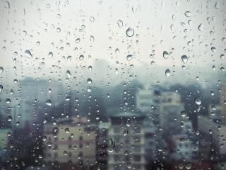 rain, window, glass wallpaper