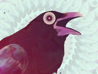 raven,  bird, beak wallpaper