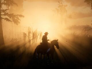 Red Dead Redemption 2 Swampy Afternoons wallpaper