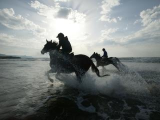 riding, horses, splashes wallpaper