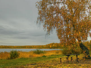 river, autumn, trees Wallpaper