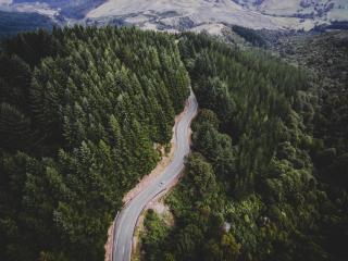 road, trees, movement wallpaper