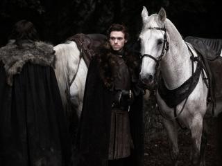 Robb Stark Horses Game Of Thrones Wide Wallpaper wallpaper
