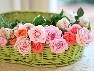 rose, flower, basket Wallpaper