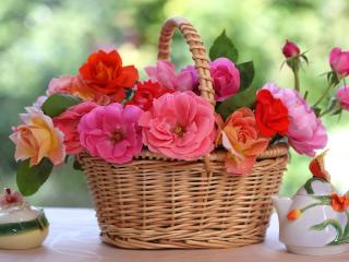 roses, flowers, basket Wallpaper