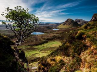 scotland, trees, mountains wallpaper