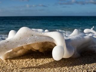 sea, foam, sand wallpaper