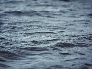 sea, water, ripples wallpaper