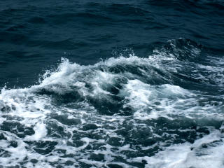 sea, waves, foam Wallpaper