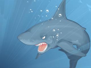 shark, under water, predators wallpaper
