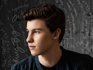 shawn mendes, actor, profile wallpaper