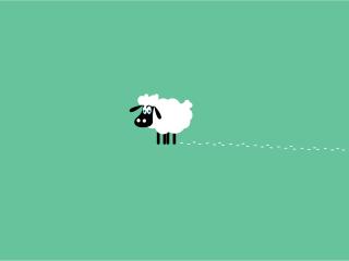 sheep, trails, curly Wallpaper