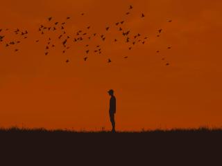 Silhouette Man And Birds wallpaper